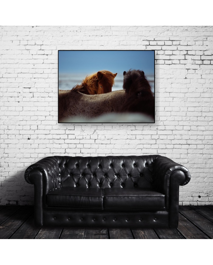 Caballos salvajes, Alaska