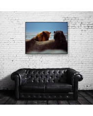 Caballos salvajes, Alaska