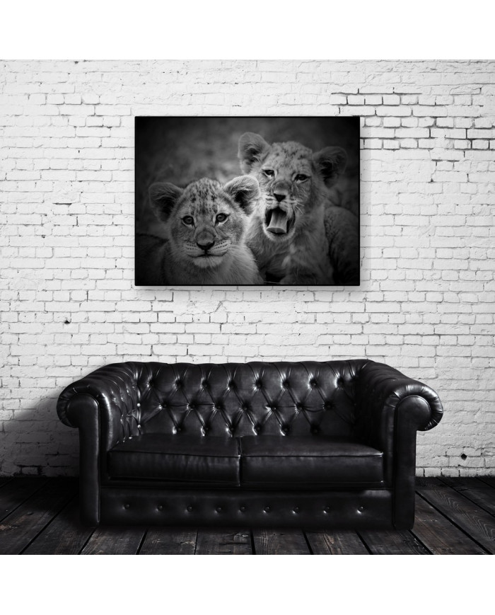 Cachorros de leones, Parque Nacional Serengueti, Tanzania