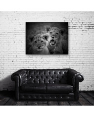 Cachorros de leones, Parque Nacional Serengueti, Tanzania