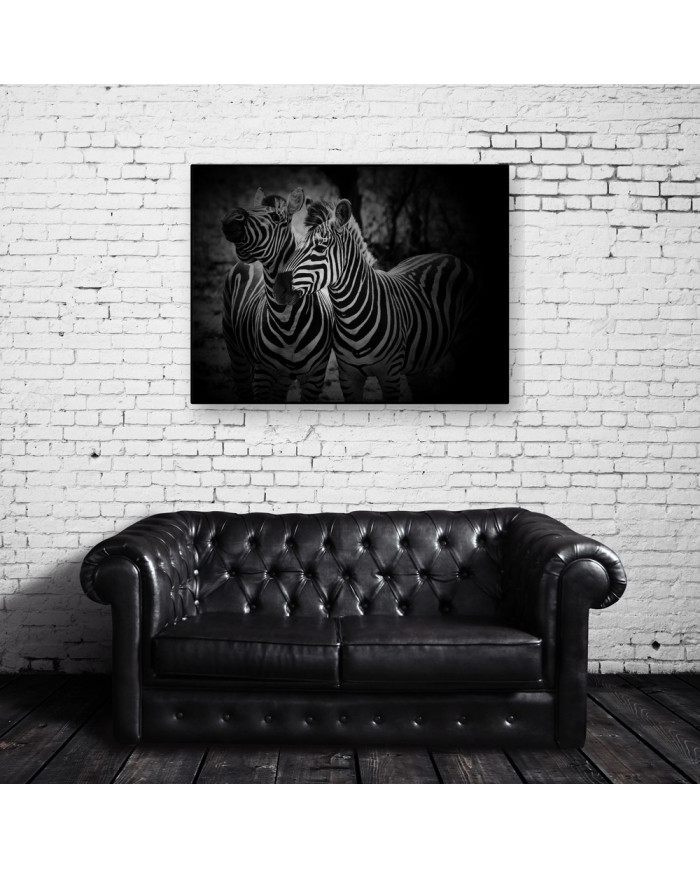 Cebras, Parque Nacional Etosha, Namibia