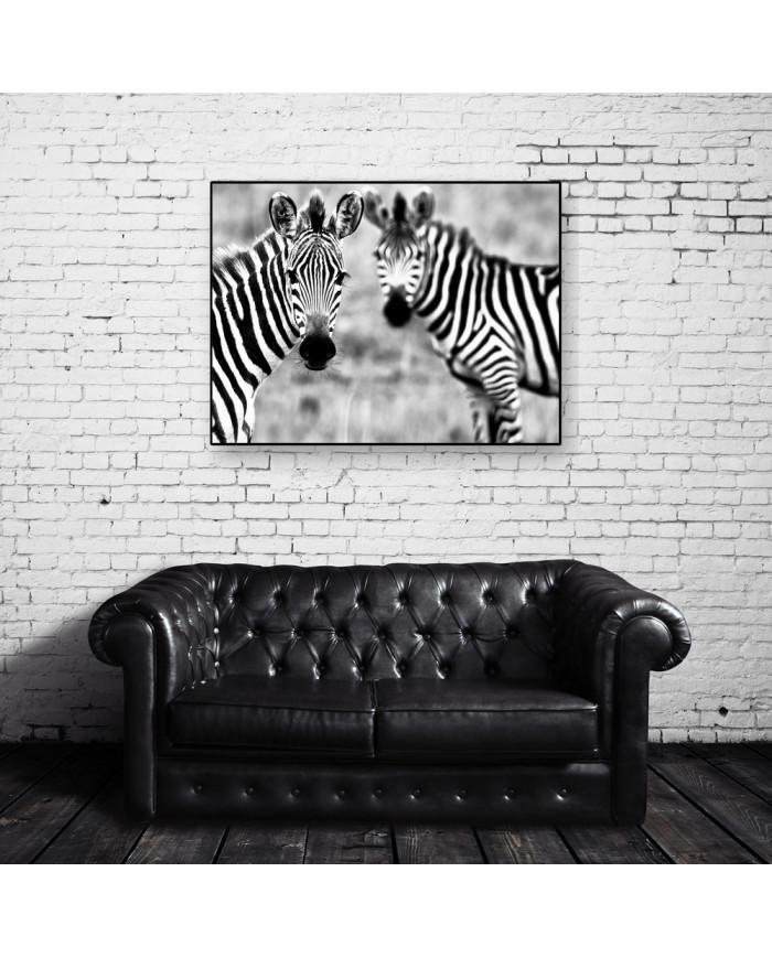 Cebras, Parque Nacional Kruger, SudÁfrica