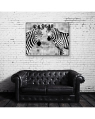 Cebras, Parque Nacional Kruger, SudÁfrica