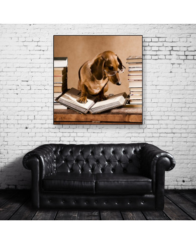 Dachshund - perro salchica  profesor Dachshund - perro salchica  profesor
