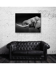 Elefante bebiendo, Parque Nacional Addo, SudÁfrica