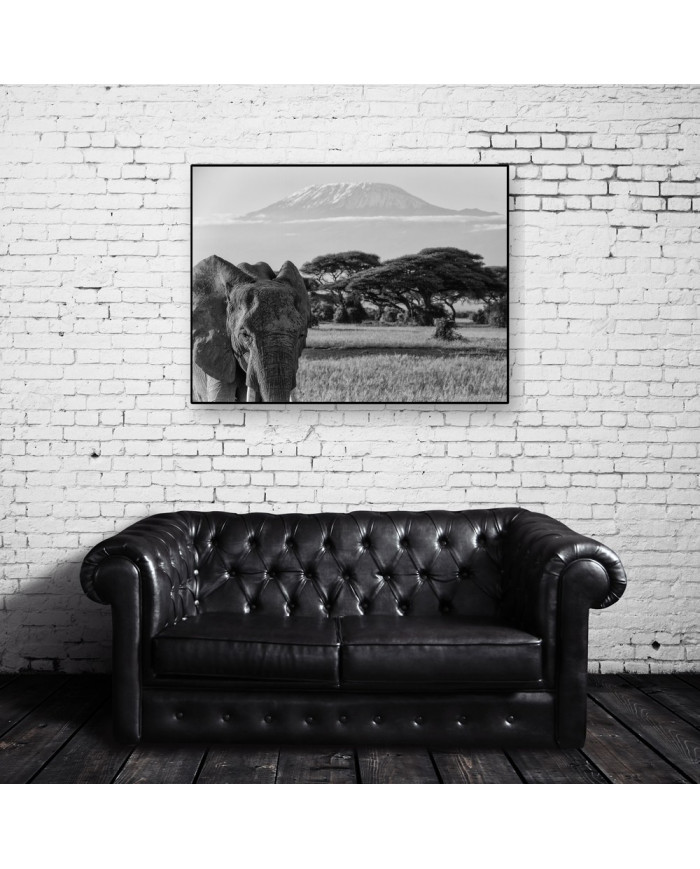 Elefante en el monte del Kilimanjaro, Tanzania