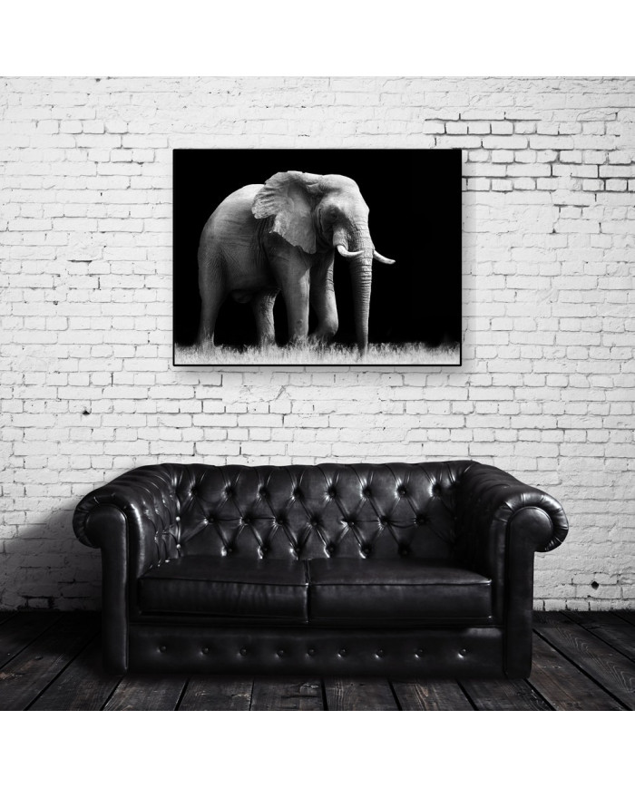 Elefante, Parque Nacional Etosha, Namibia