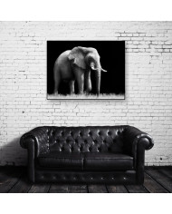 Elefante, Parque Nacional Etosha, Namibia