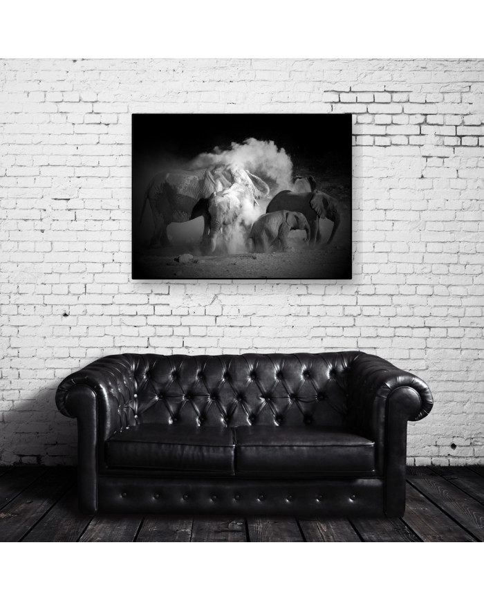 Elefantes tomando un baño de polvo, Parque Nacional Etosha, Namibia