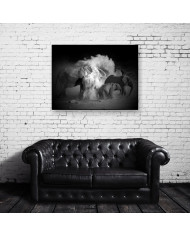 Elefantes tomando un baño de polvo, Parque Nacional Etosha, Namibia