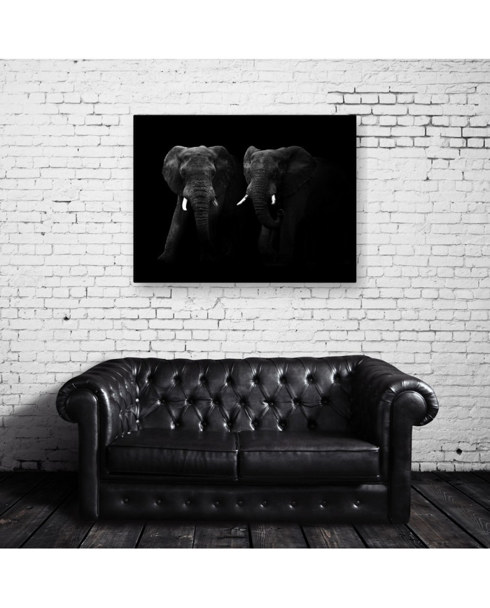 Elefantes, Parque Nacional Masai Mara, Kenia