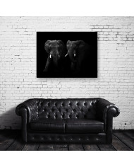 Elefantes, Parque Nacional Masai Mara, Kenia