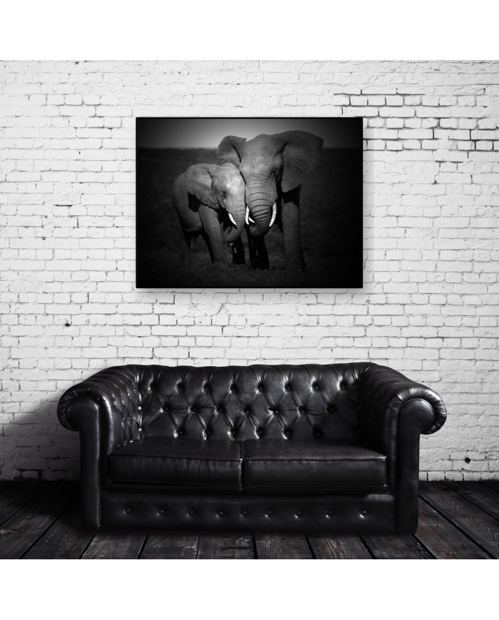 Elefantes, Parque Nacional Masai Mara, Tanzania