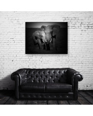 Elefantes, Parque Nacional Masai Mara, Tanzania