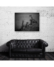 Familia de Cheetas, Parque Nacional Masai Mara, Kenia