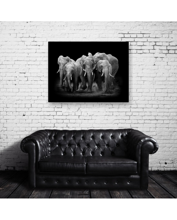 Familia de elefantes, Parque Nacional Serengueti, Tanzania