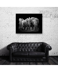 Familia de elefantes, Parque Nacional Serengueti, Tanzania