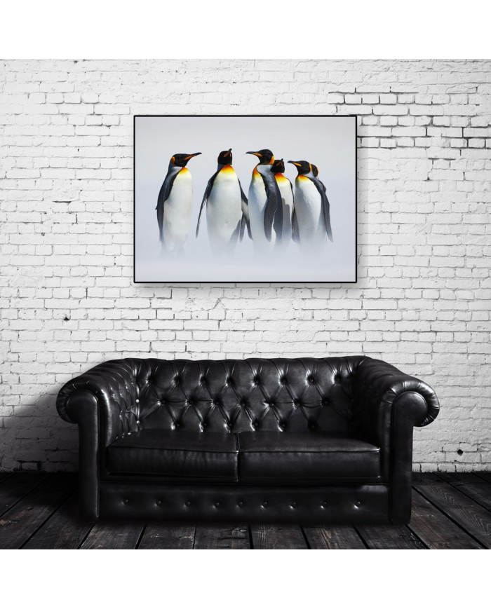 Grupo de pingüinos en la Antártida