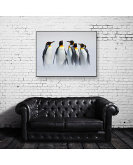 Grupo de pingüinos en la Antártida