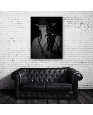 Harrison Ford en Indiana Jones