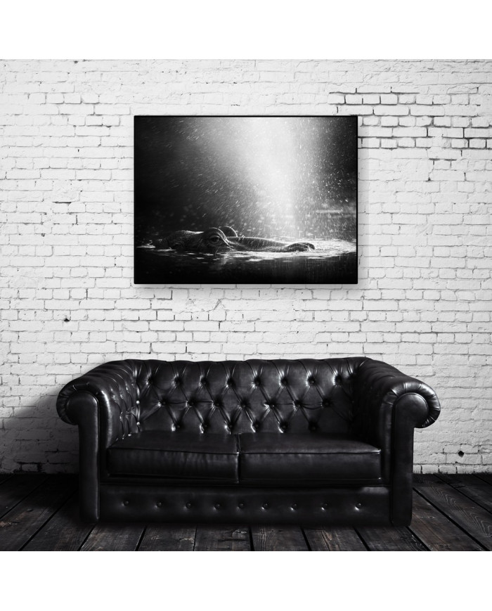 Hipopótamo, Parque Nacional Serengueti, Tanzania