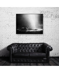 Hipopótamo, Parque Nacional Serengueti, Tanzania