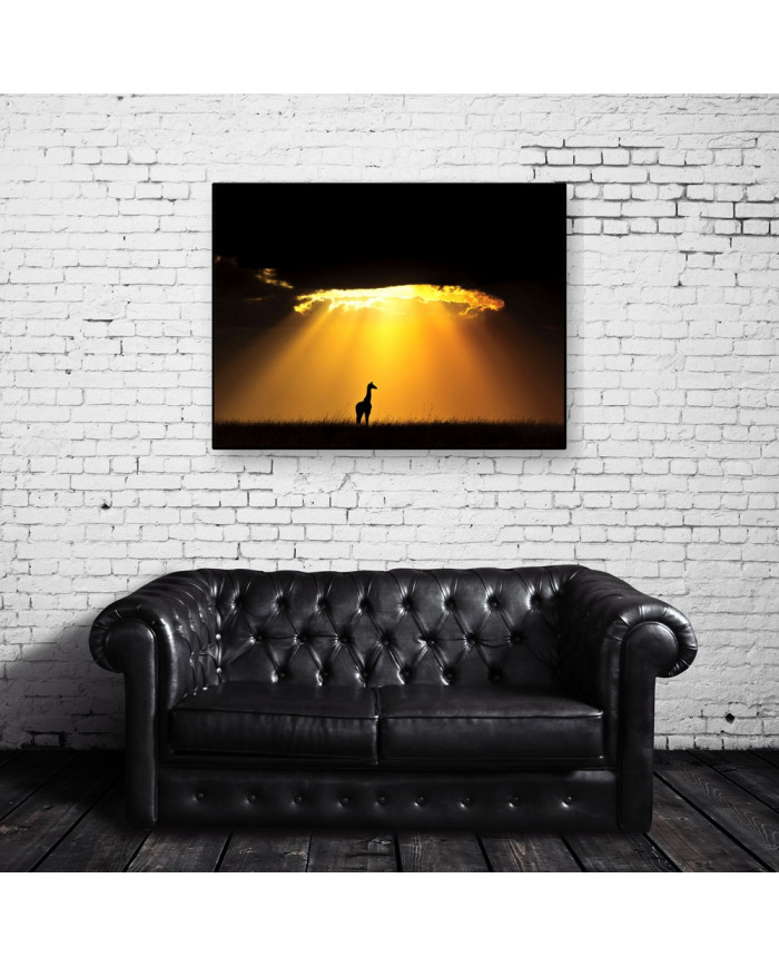 Jirafa al atardecer, Parque Nacional Masai Mara, Tanzania