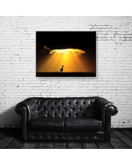 Jirafa al atardecer, Parque Nacional Masai Mara, Tanzania