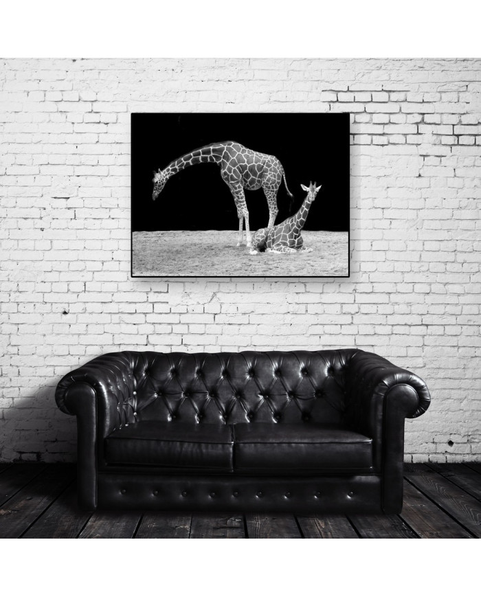 Jirafas Parque Nacional Masai Mara, Kenia