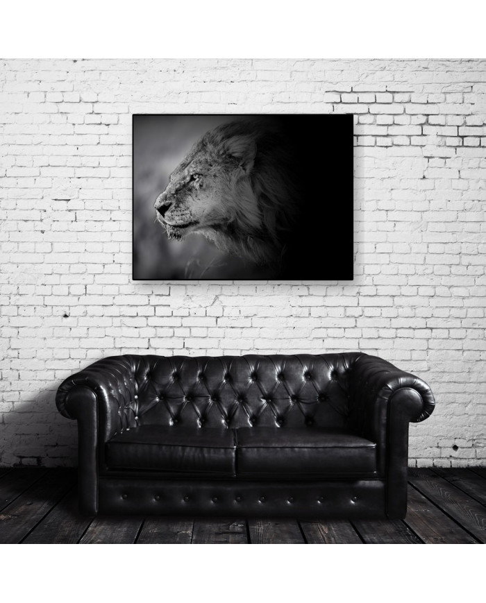 León al acecho, Parque Nacional Masai Mara, Kenia