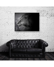 León al acecho, Parque Nacional Masai Mara, Kenia