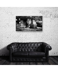 León en el Parque Nacional Etosha, Namibia