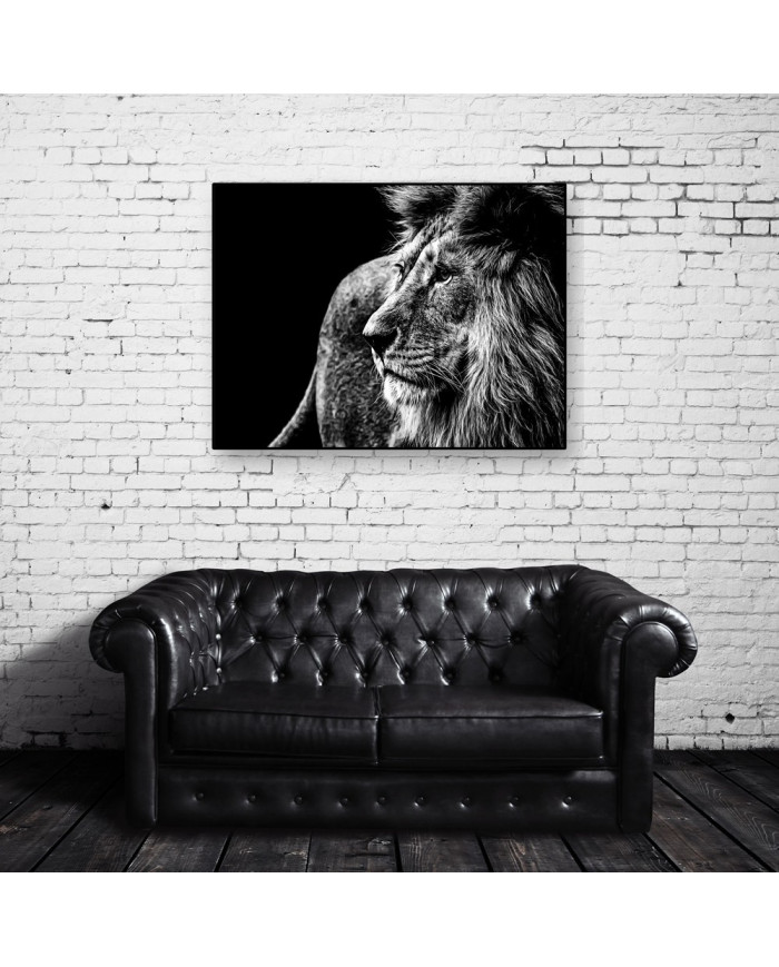 León, Parque Nacional Kruger, SudÁfrica