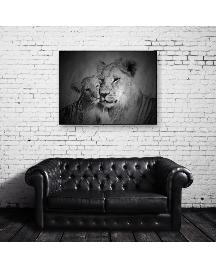 Leona con su cachorro, Parque Nacional Serengueti, Tanzania