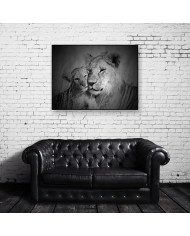 Leona con su cachorro, Parque Nacional Serengueti, Tanzania