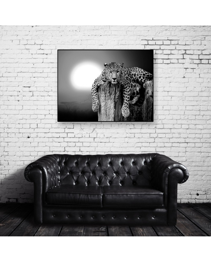 Leopardo descansando en un árbol, Parque Nacional Masai Mara, Tanzania