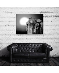 Leopardo descansando en un árbol, Parque Nacional Masai Mara, Tanzania