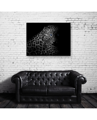 Leopardo, Parque Nacional Serengueti, Tanzania Leopardo, Parque Nacional Serengueti, Tanzania