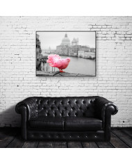 Paloma rosa junto al Gran Canal, Venecia