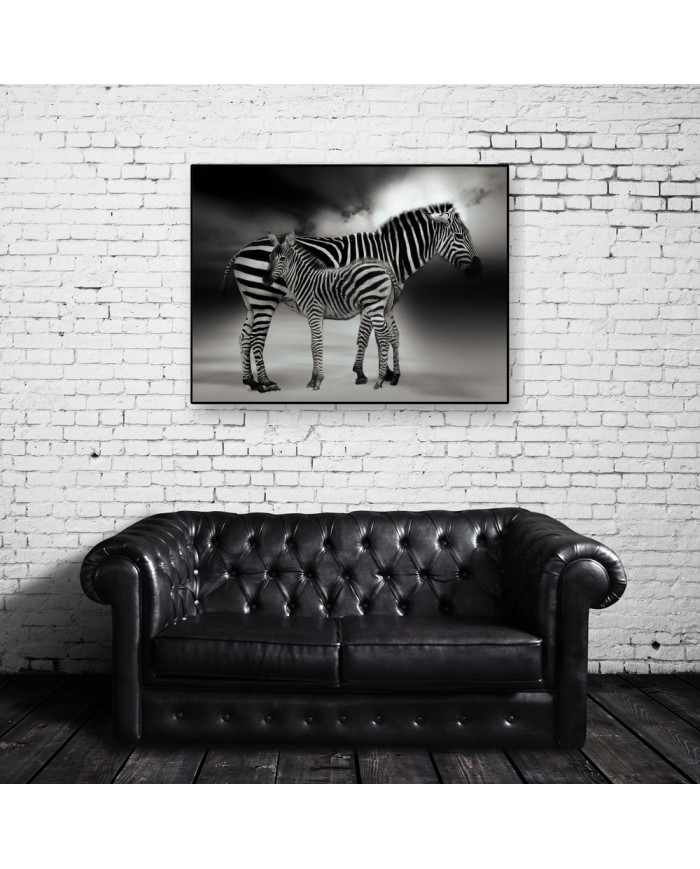 Retrato de dos cebras