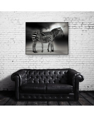 Retrato de dos cebras