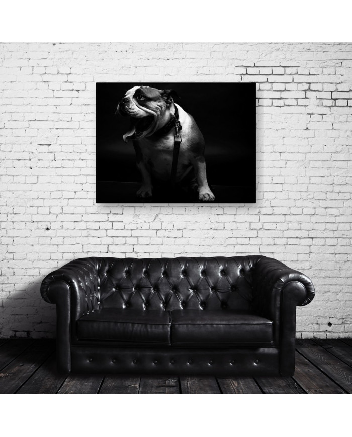 Retrato de un bulldog