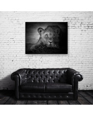 Retrato de un león joven, Parque Nacional Serengueti, Tanzania