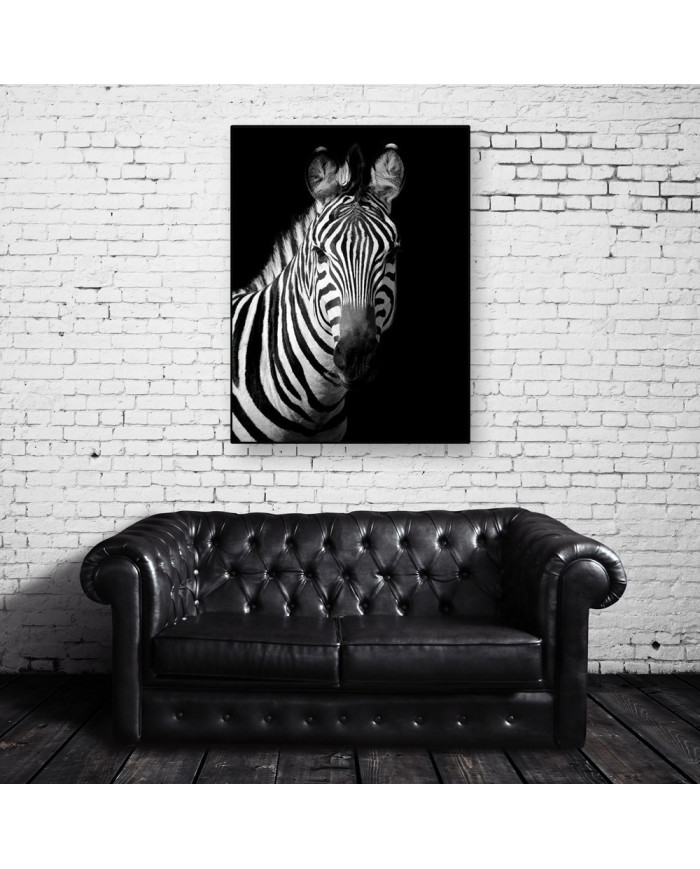 Retrato de una cebra, Parque Nacional Serengueti, Tanzania