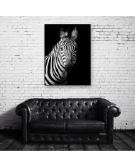 Retrato de una cebra, Parque Nacional Serengueti, Tanzania