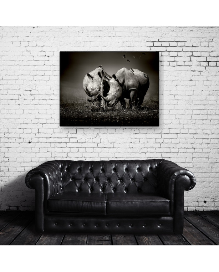 Rinocerontes rodeados de pájaros, Parque Nacional  Nakuru, Kenia