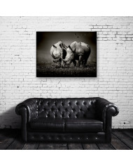 Rinocerontes rodeados de pájaros, Parque Nacional  Nakuru, Kenia