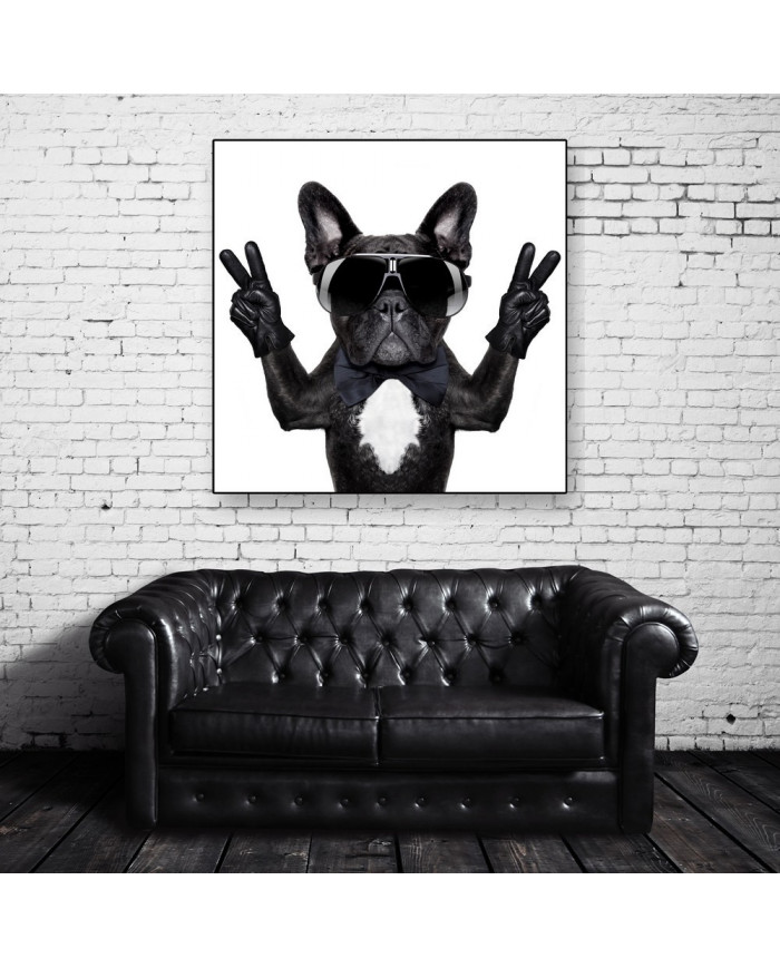 Victoria del buldog francés