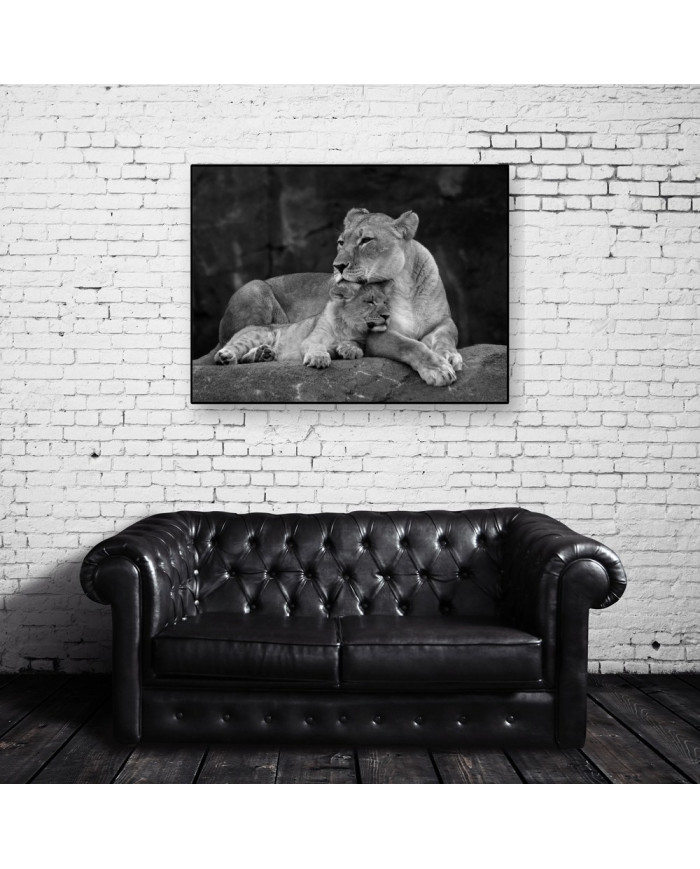 Leona con su cachorro, Parque Nacional Masai Mara, Kenia