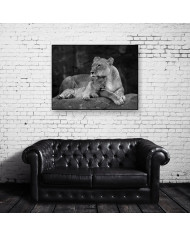 Leona con su cachorro, Parque Nacional Masai Mara, Kenia